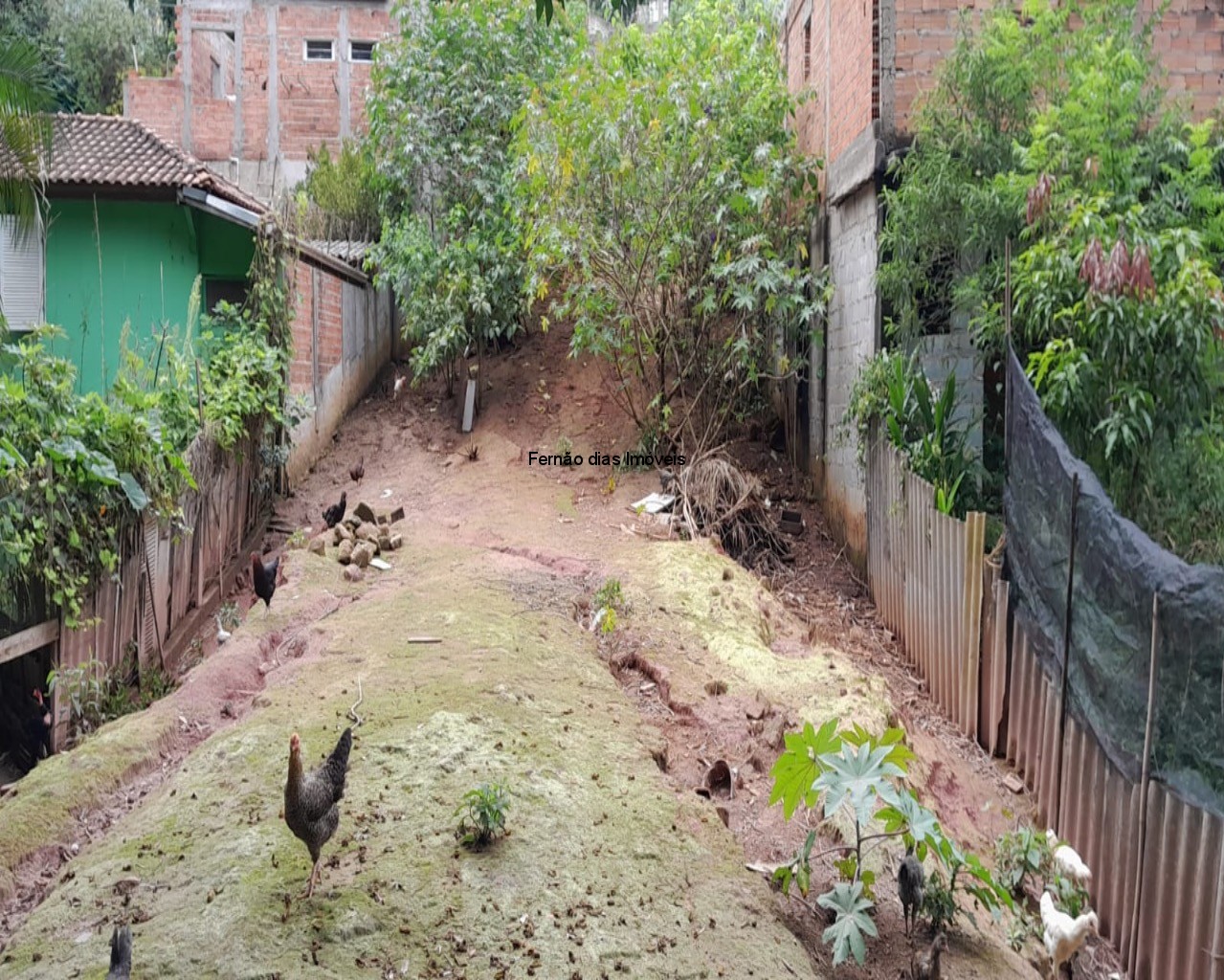 TERRENO EM TERRA PRETA