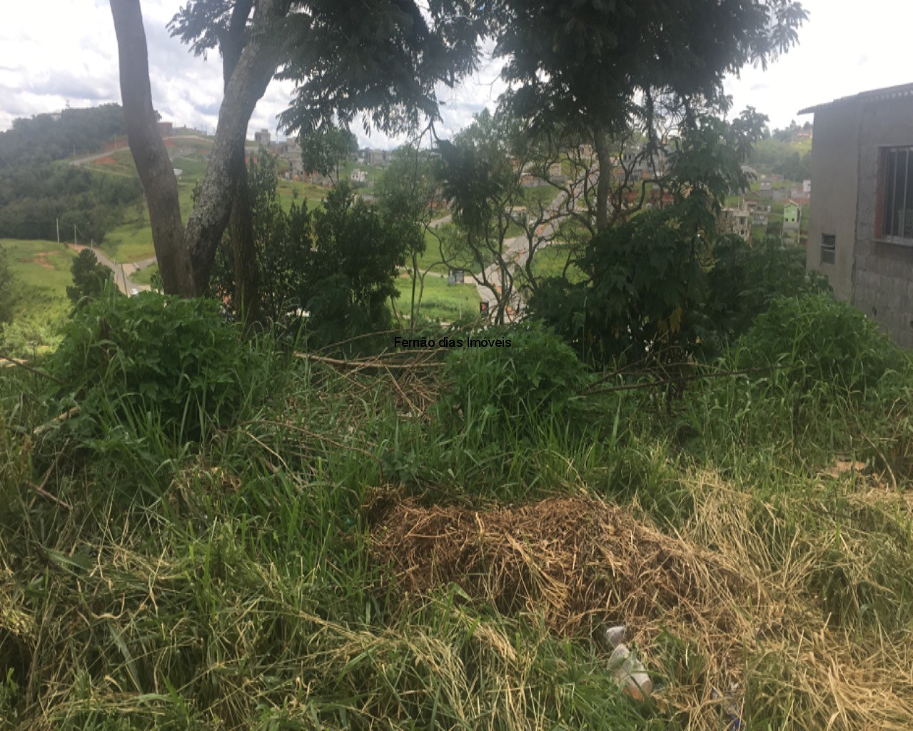 TERRENO RESIDENCIAL em MAIRIPORÃ - SP, TERRA PRETA (TERRA PRETA)