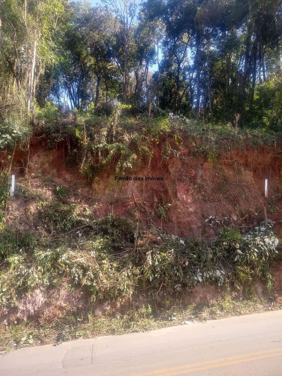 Terreno em Terra Preta