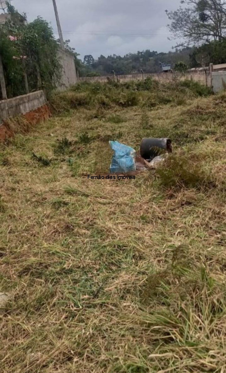EXCELENTE TERRENO PARA RESIDENCIA