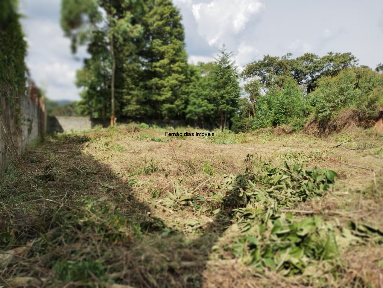 TERRENO A VENDA EM TERRA PRETA