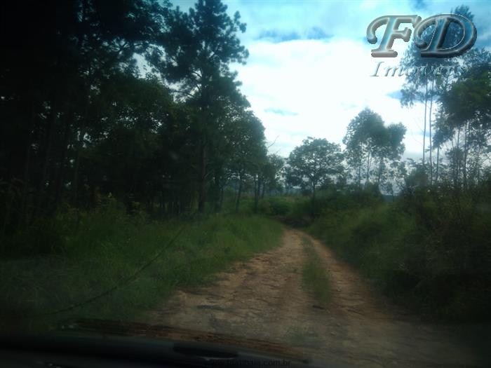 TERRENO COMERCIAL em Mairiporã - SP, Jardim Lucia