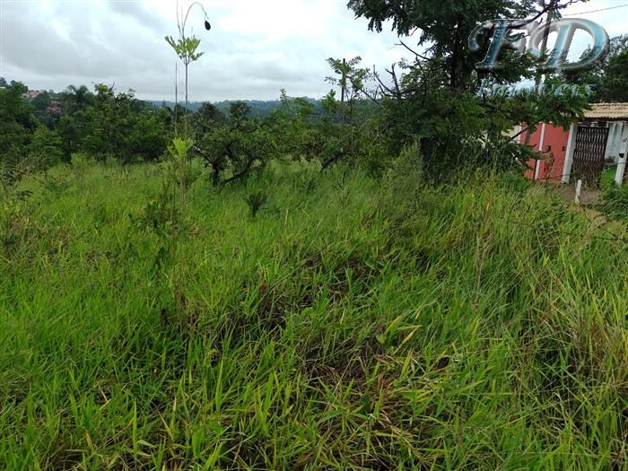 TERRENO RURAL em Jarinú - SP, Caioçara