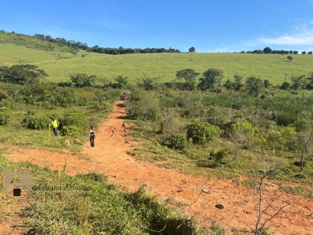 Terreno, 2 hectares - Foto 7