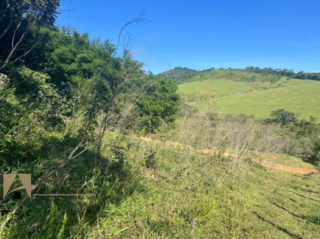 Terreno, 2 hectares - Foto 17