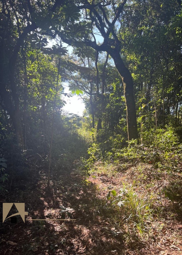 Terreno, 2 hectares - Foto 18