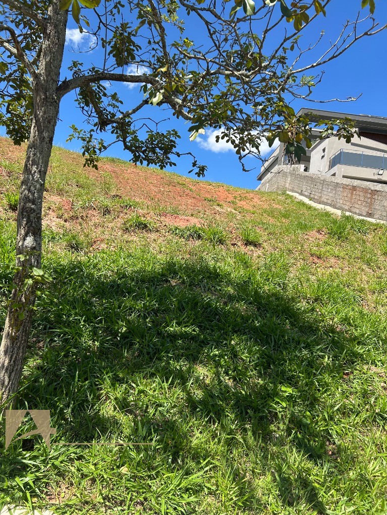 Terreno, 1506 m² - Foto 13