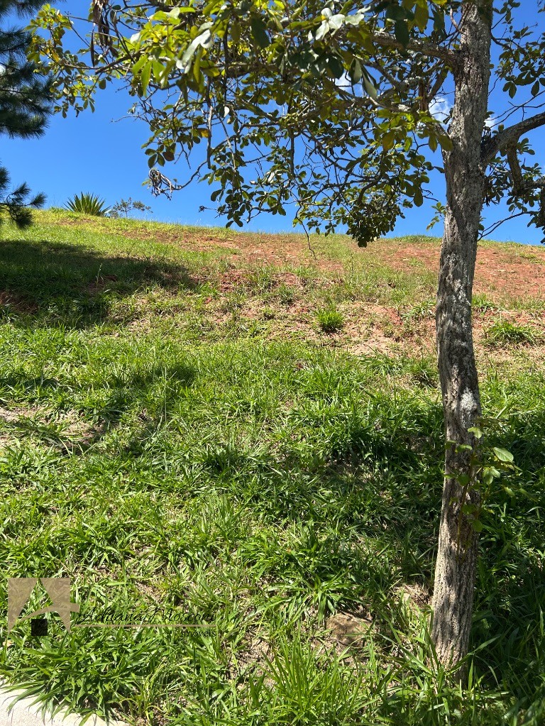 Terreno, 1506 m² - Foto 17