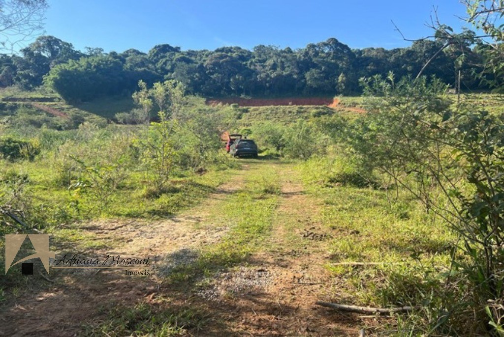 Terreno, 2 hectares - Foto 15