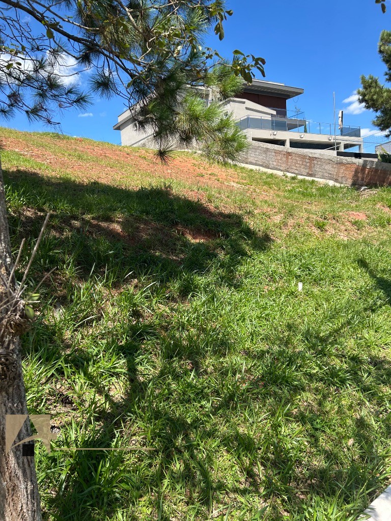 Terreno, 1506 m² - Foto 6