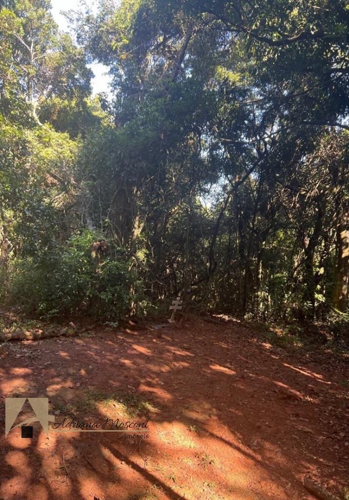 Terreno, 2 hectares - Foto 19