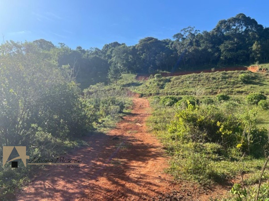 Terreno, 2 hectares - Foto 12