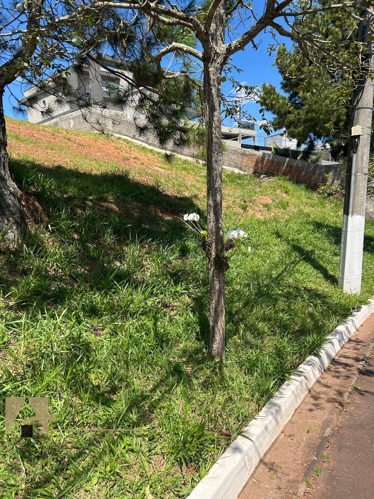Terreno, 1506 m² - Foto 2