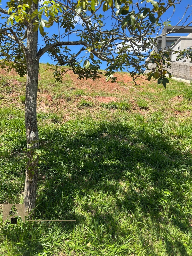 Terreno, 1506 m² - Foto 14
