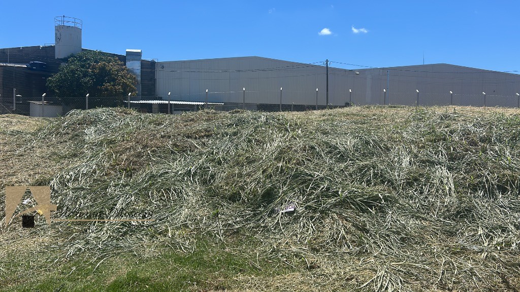 Terreno, 1486 m² - Foto 2