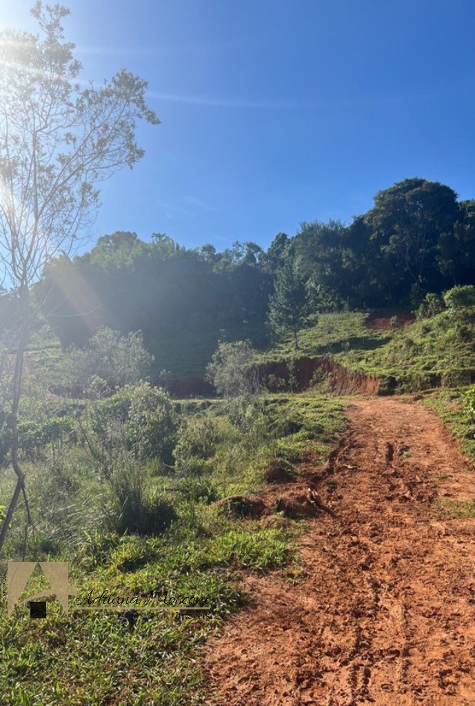 Terreno, 2 hectares - Foto 13