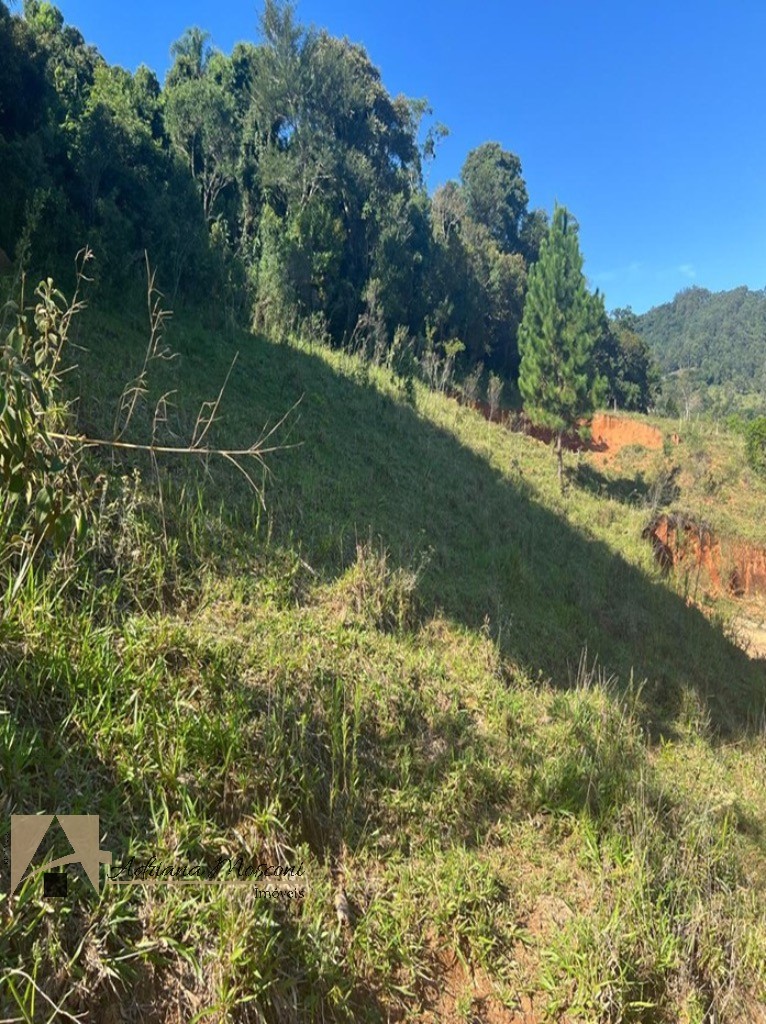 Terreno, 2 hectares - Foto 4
