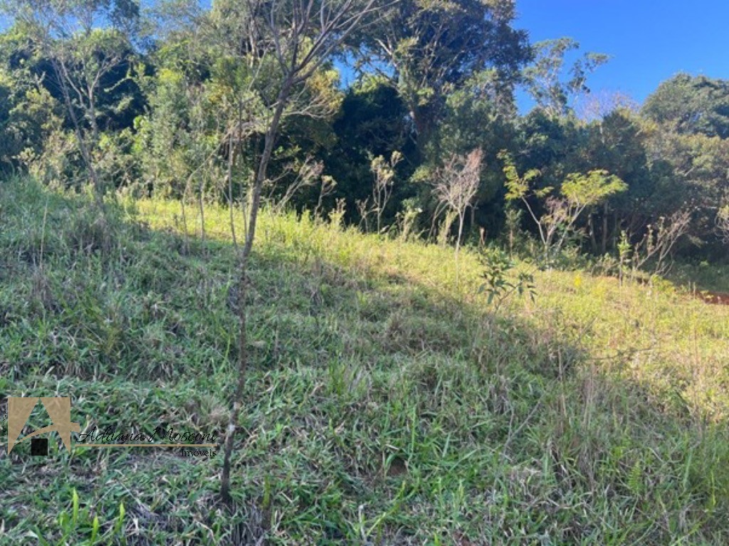 Terreno, 2 hectares - Foto 11