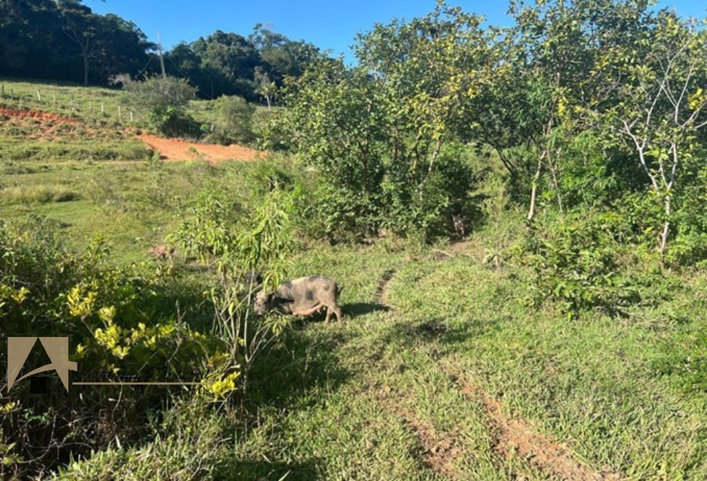 Terreno, 2 hectares - Foto 14
