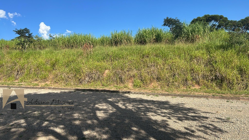 Terreno, 1379 m² - Foto 2