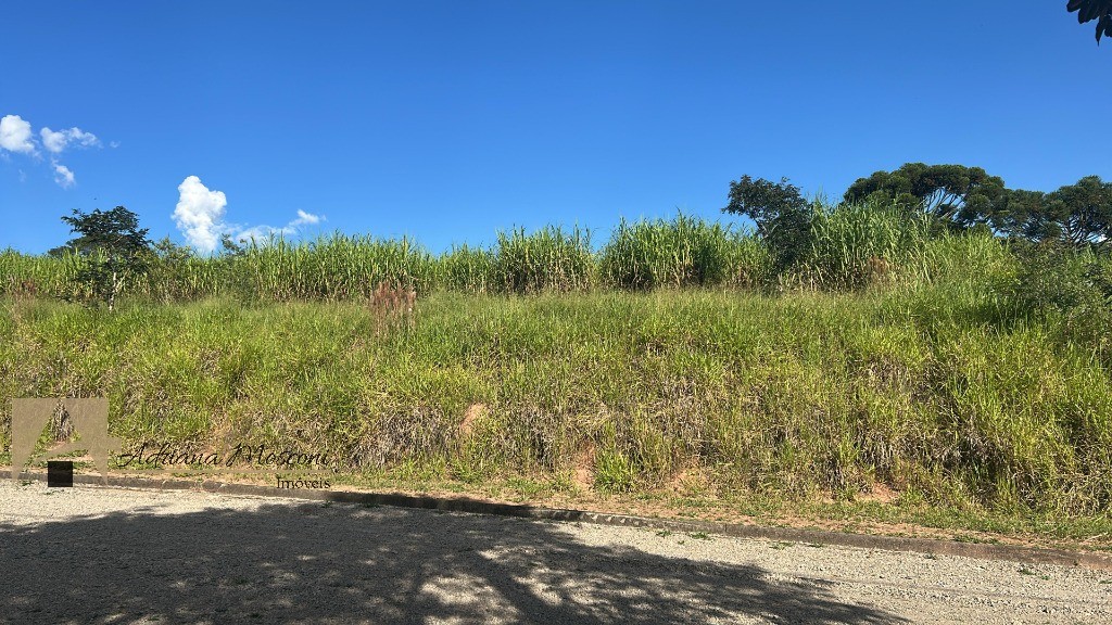 Terreno, 1379 m² - Foto 8