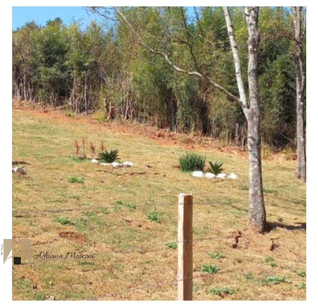 Terreno, 2 hectares - Foto 3
