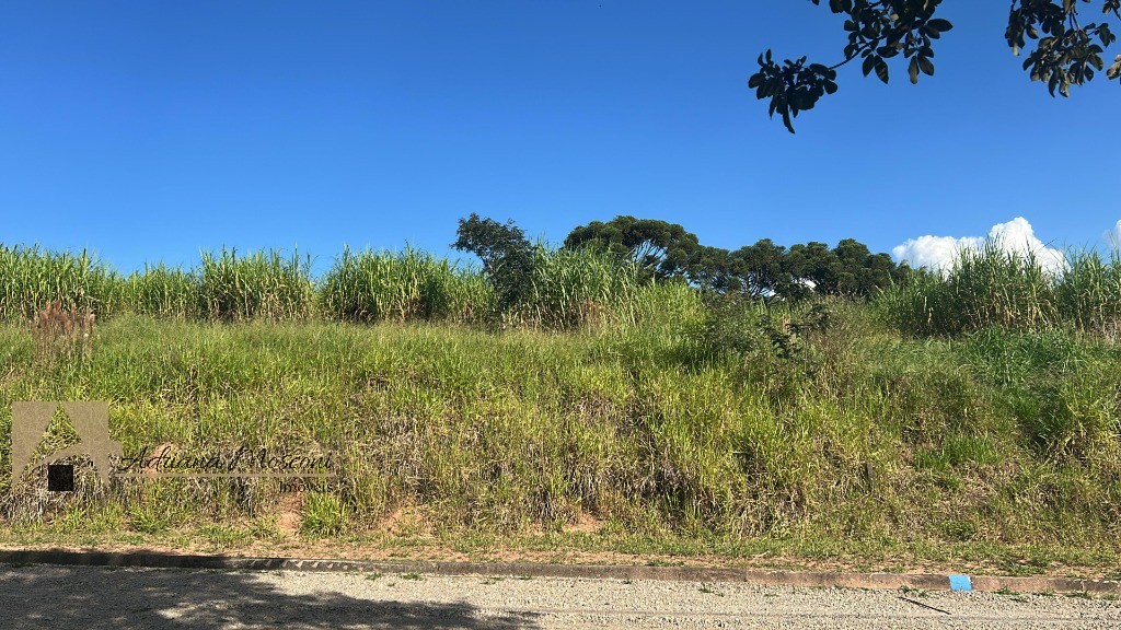 Terreno, 1379 m² - Foto 6
