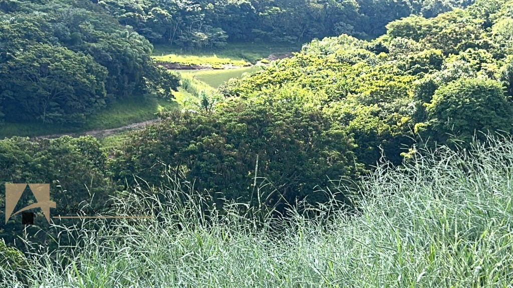 Terreno, 1837 m² - Foto 3