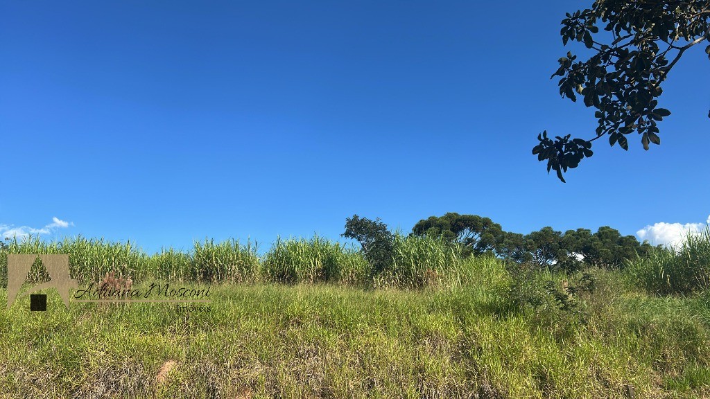 Terreno, 1379 m² - Foto 5