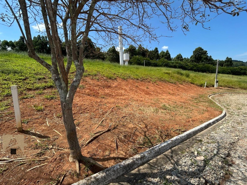 Terreno, 1023 m² - Foto 6
