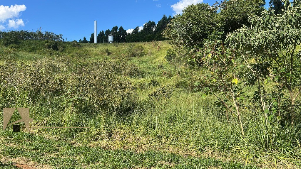 Terreno, 2434 m² - Foto 8