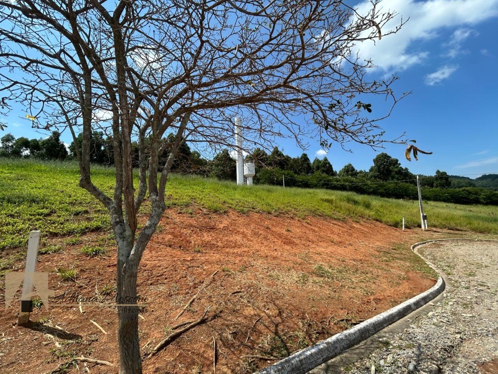 Terreno, 1023 m² - Foto 5