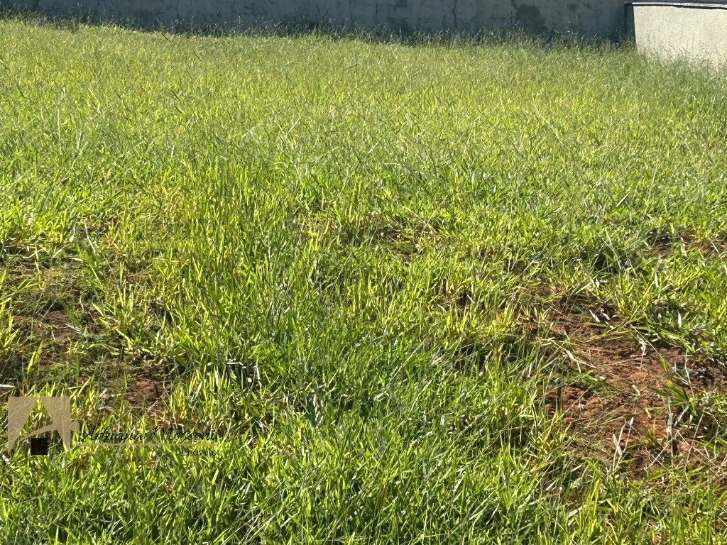 Terreno, 390 m² - Foto 13