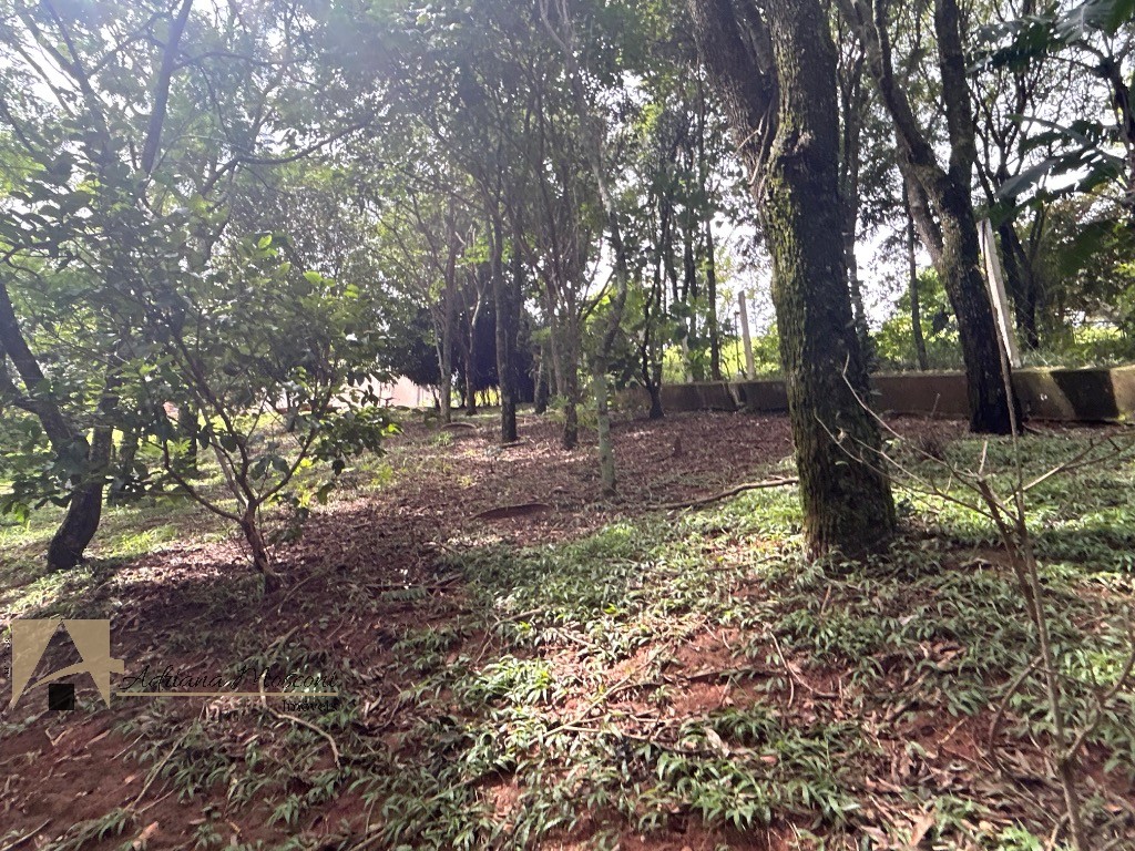 Casa, 7 quartos - Foto 101