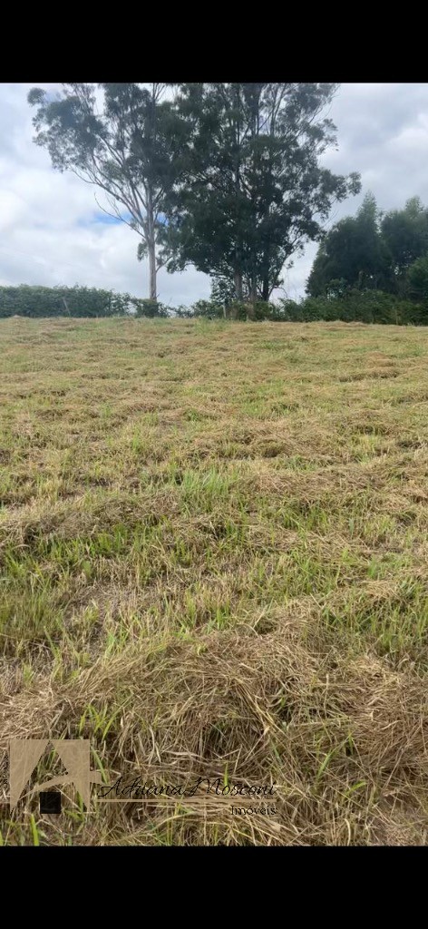 Terreno, 1019 m² - Foto 5
