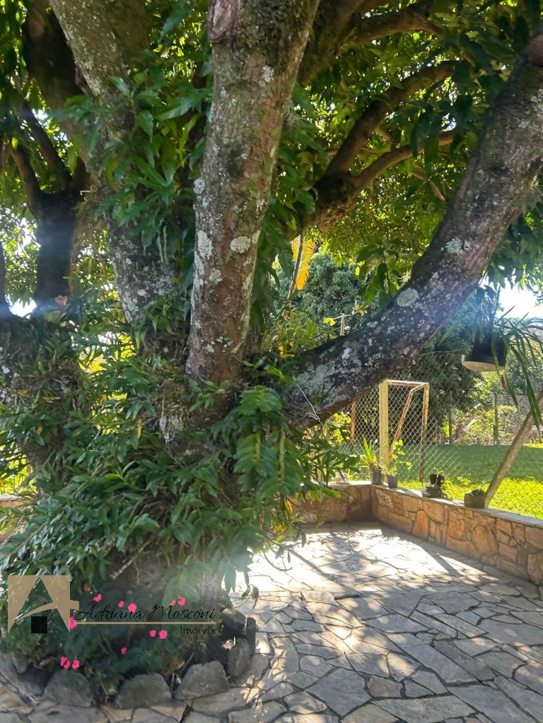 Chácara, 2 quartos, 2760 m² - Foto 42