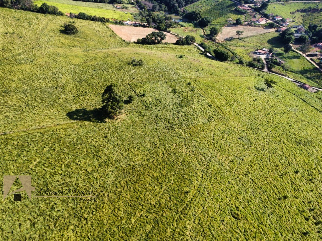 Sítio, 3 quartos, 6 hectares - Foto 60