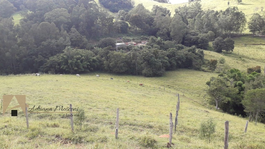 Sítio, 3 quartos, 6 hectares - Foto 7