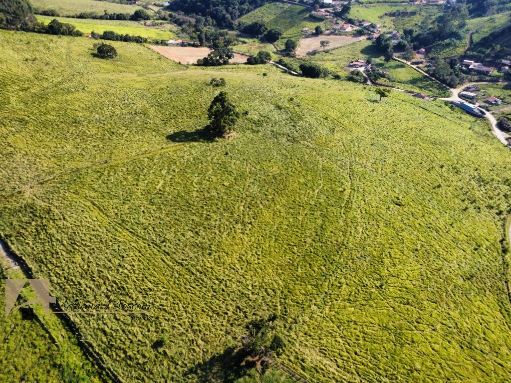 Sítio, 3 quartos, 6 hectares - Foto 69
