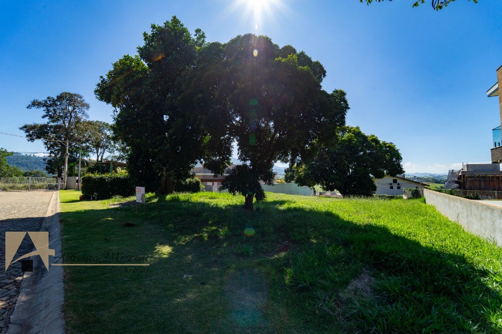 Terreno, 1000 m² - Foto 4