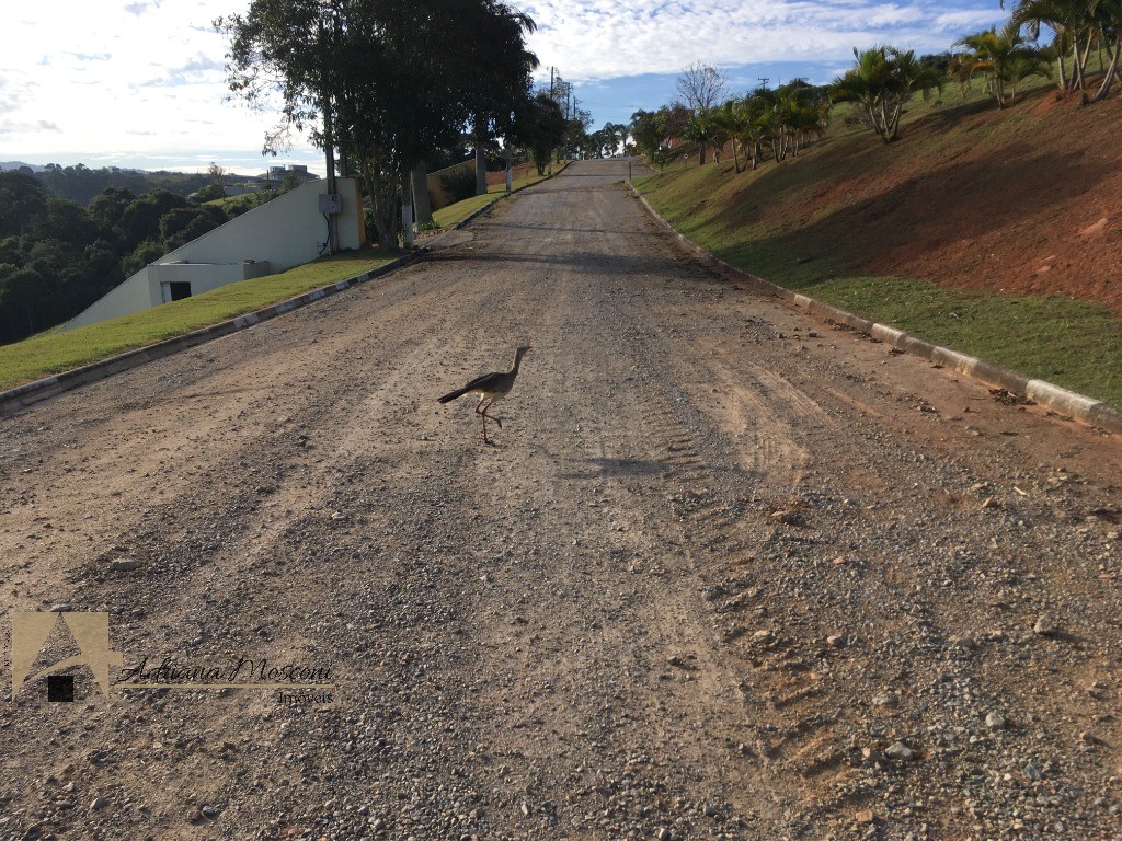 Terreno, 3200 m² - Foto 5