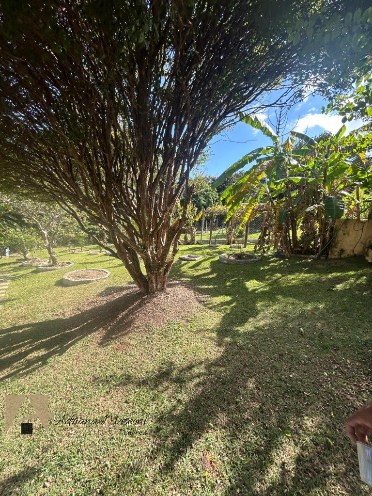 Chácara, 2 quartos, 1301 m² - Foto 26