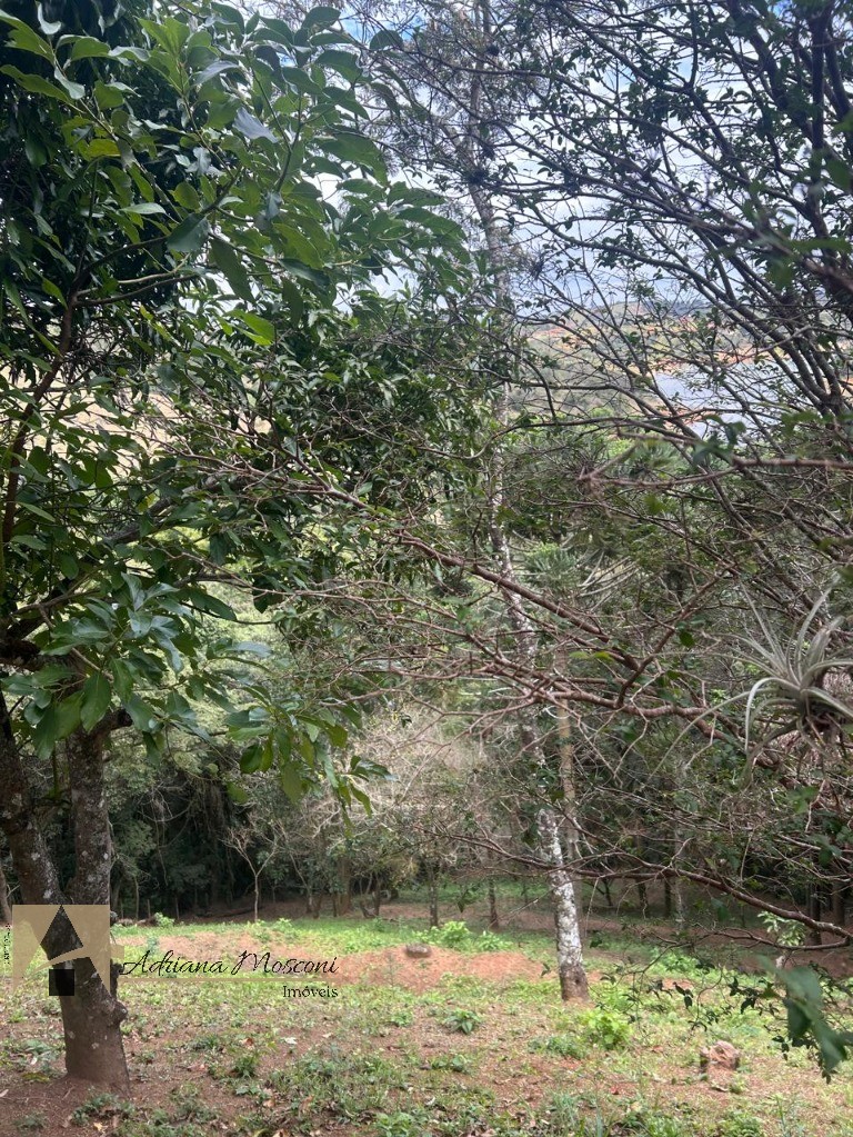 Terreno, 4850 m² - Foto 5