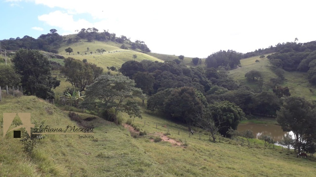 Sítio, 3 quartos, 6 hectares - Foto 3