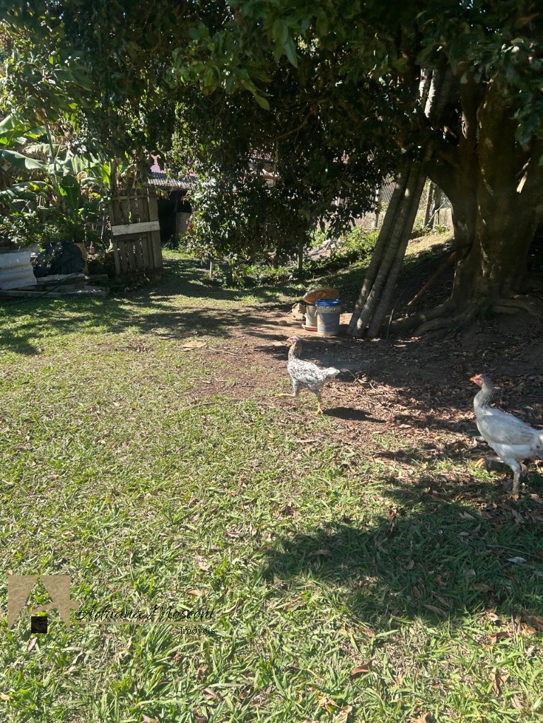 Chácara, 2 quartos, 2760 m² - Foto 13