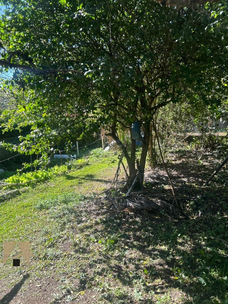 Chácara, 2 quartos, 2760 m² - Foto 27