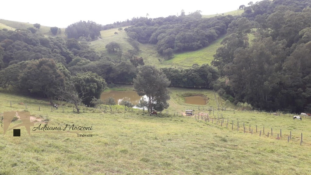 Sítio, 3 quartos, 6 hectares - Foto 2