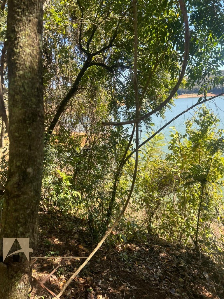 Terreno, 6100 m² - Foto 4
