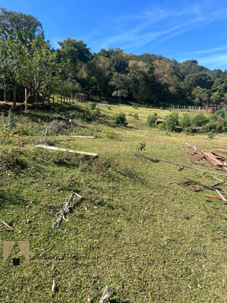Terreno, 6100 m² - Foto 11
