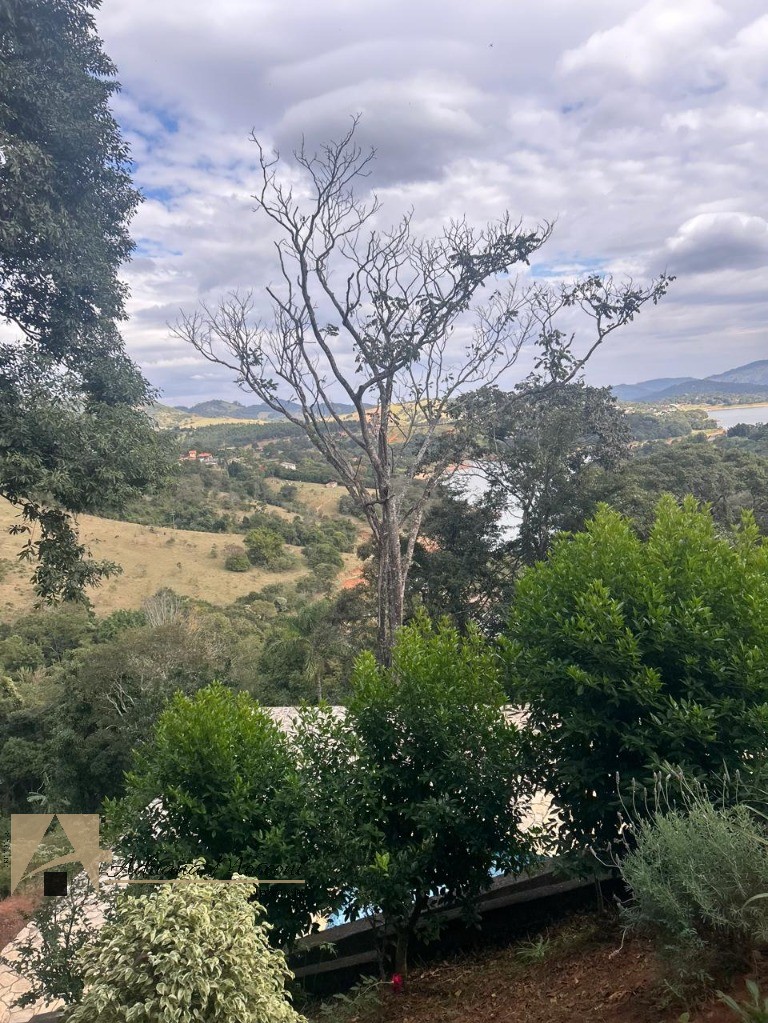 Terreno, 4850 m² - Foto 3